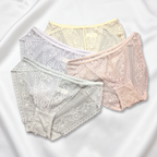 Sheer Floral Lace Brief-43