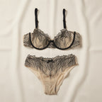 Semi-Sheer Embroidered Mesh Lingerie Set | Underwire Bra & Panty-11